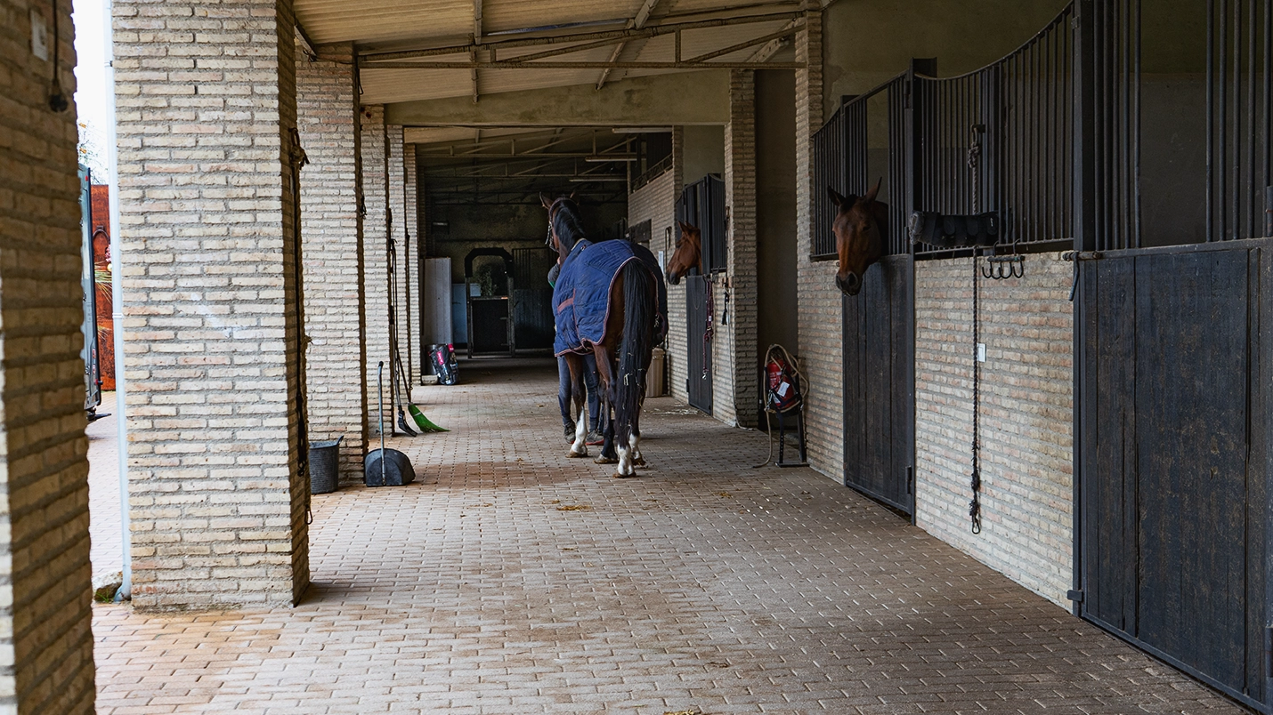 Donde tu caballo se siente en casa